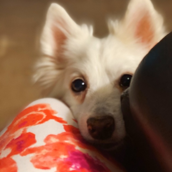 Welcome to my Closet! - Picture 4 of 4